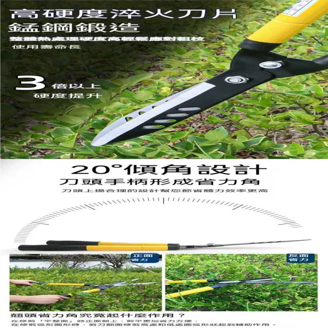 【MOOG 沐格】園林修枝剪 綠化修剪剪刀 茶樹花木修剪工具 苗圃園藝剪