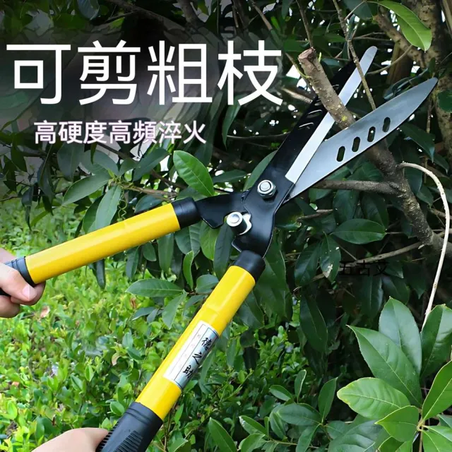 【MOOG 沐格】園林修枝剪 綠化修剪剪刀 茶樹花木修剪工具 苗圃園藝剪