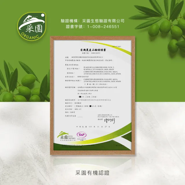 【Oro Bailen 皇嘉】有機100%冷壓初榨橄欖油 500ml 限量禮盒組(歐盟&台灣有機雙驗證 有機生飲等級)