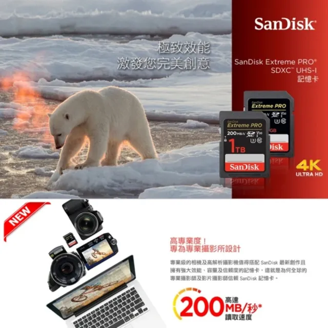 【SanDisk 晟碟】[全新版 再升級] 256GB Extreme PRO SDXC V30  記憶卡 200MB/s(專業攝影 原廠永久保固)