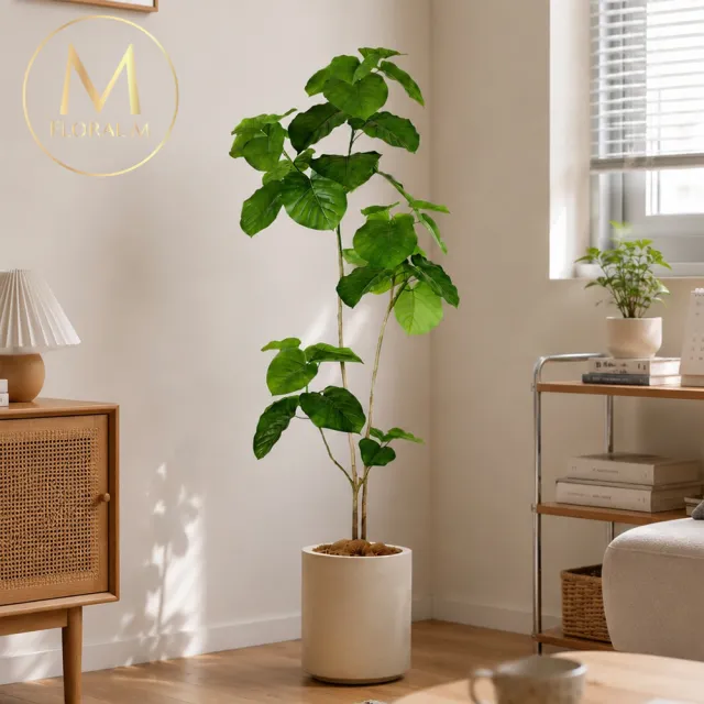 【Floral M】居家人氣心葉榕160cm大型仿真植栽（贈花盆）(仿真樹/免澆水/室內佈置/居家裝飾/招財擺設)