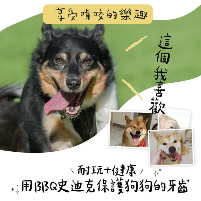 【Petstages】BBQ史迪克 狗玩具 烤肉木風味 M（12到22公斤中型犬適用）潔牙骨 耐咬 寵物玩具