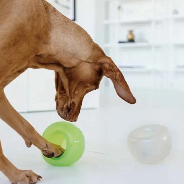 【Planet Dog】Snoop耐咬埋鼻缽 狗玩具 L（中型犬、大型犬適用）4色任選 藏食 益智 慢食 寵物玩具