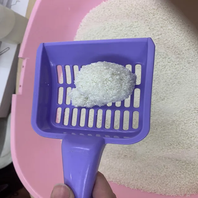 【國際貓家】Hello ICHI 豆腐貓砂 2KG/六包入(原味/綠茶/活性碳/木薯)