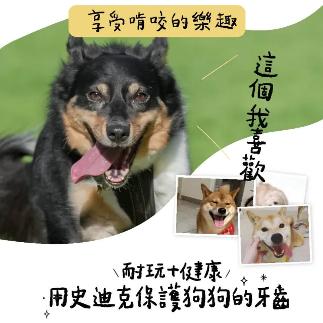 【Petstages】耐咬史迪克 狗玩具 天然木頭風味L（23公斤以上大型犬適用）潔牙骨 耐咬 寵物玩具