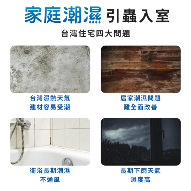 【福來朗】潮濕蟲噴霧 500ml_3入組 (除蟲菊精｜衣魚｜鰹節蟲｜書蝨｜潮濕空間適用)