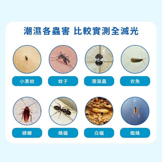 【福來朗】潮濕蟲噴霧 500ml_3入組 (除蟲菊精｜衣魚｜鰹節蟲｜書蝨｜潮濕空間適用)