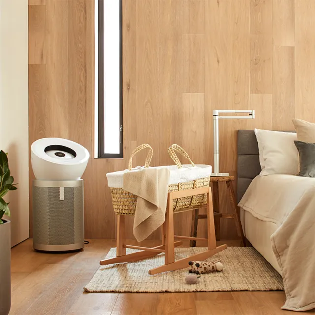 【dyson 戴森】BP02 Purifier Big+Quiet 強效極靜抗敏空氣清淨機(白色及柔霧銀 適用30坪) (超值組)