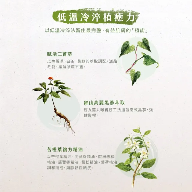 【阿原】人參豐盈養髮液50mL*1+人參豐盈洗頭水250mL*1(強健髮根)(清潔同時保養)