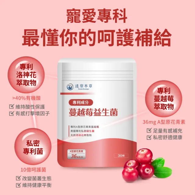 【達摩本草】蔓越莓益生菌 2入30顆/包(專科醫生推薦、足量原花青素)