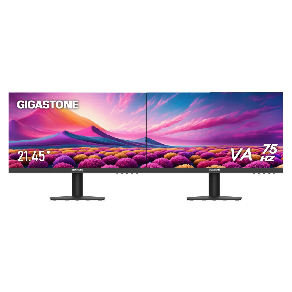【Gigastone 立達國際】2入組 LA-22FA51 22型VA FHD極窄邊框電腦螢幕(75Hz/HDMI/VGA/1080P/低藍光零閃屏)