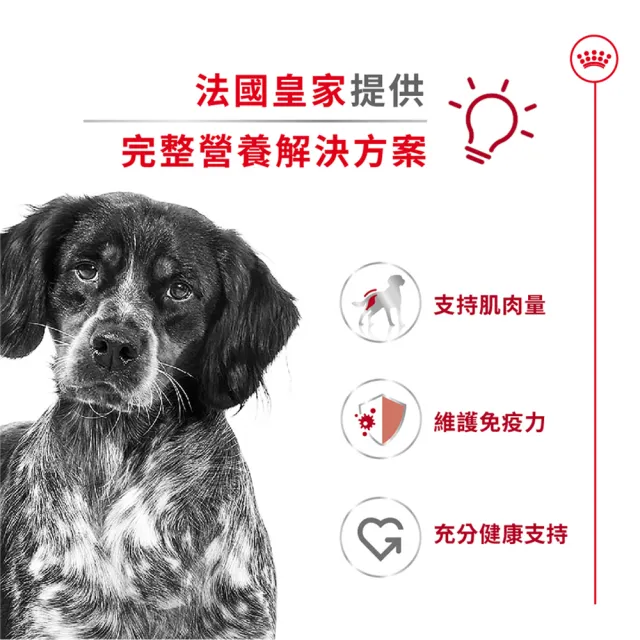 【ROYAL 法國皇家】中型成犬專用飼料 MA 4KG(狗乾糧 狗飼料 免疫力 腸胃)