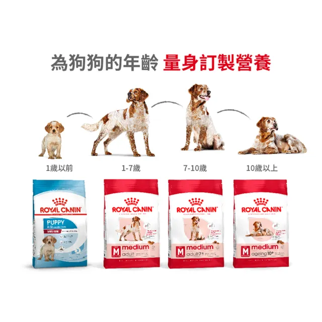 【ROYAL 法國皇家】中型成犬專用飼料 MA 15KG(狗乾糧 狗飼料)