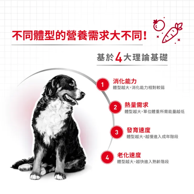 【ROYAL 法國皇家】中型成犬專用飼料 MA 15KG(狗乾糧 狗飼料)
