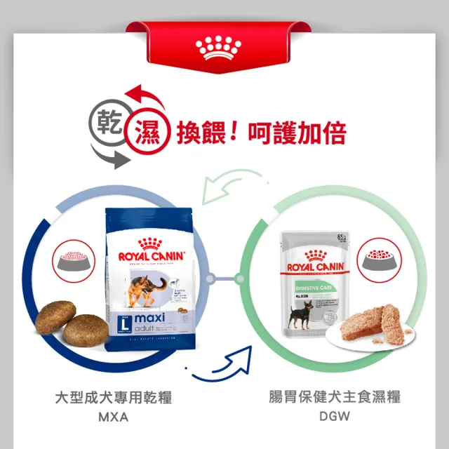 【ROYAL 法國皇家】大型成犬專用飼料 MXA 15KG(狗乾糧 狗飼料)