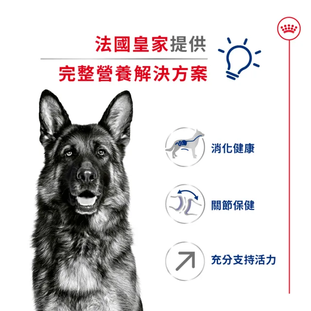 【ROYAL 法國皇家】大型熟齡犬5+歲齡專用飼料 MXA+5 15KG(狗乾糧 狗飼料)
