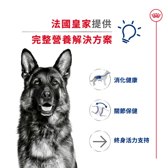 【ROYAL 法國皇家】大型老齡犬8+歲齡專用飼料 MXA+8 15KG(狗乾糧 狗飼料)