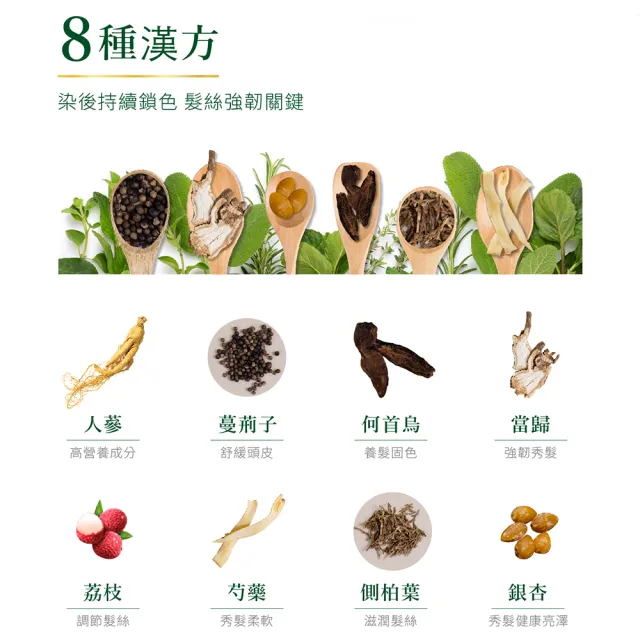 【Schwarzkopf 施華蔻】怡然植萃蓋白染髮霜 3入組(經典黑棕/自然棕/優雅亮棕)