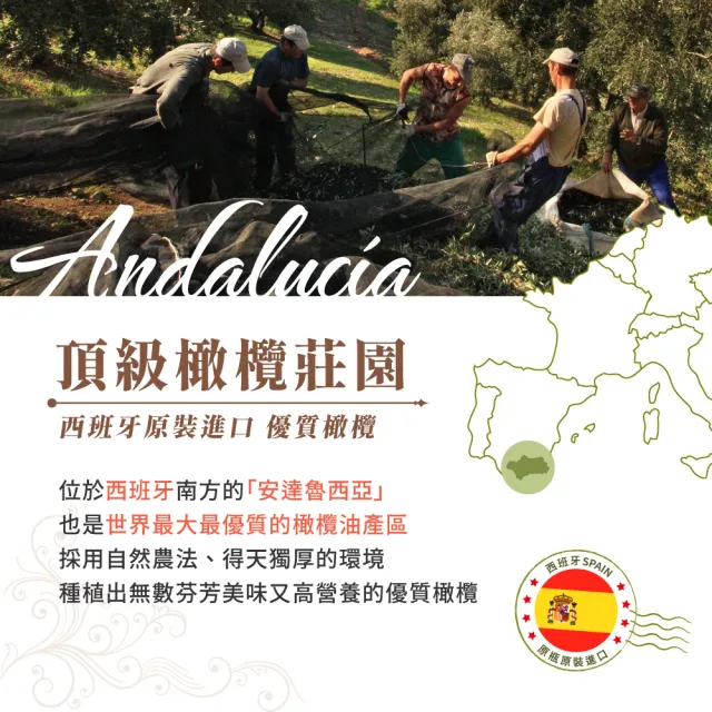 【ALIANZA】西班牙特級冷壓初榨橄欖油1000mlx3入(可生飲、酸價≦0.5%、單元不飽和脂肪酸75%以上)
