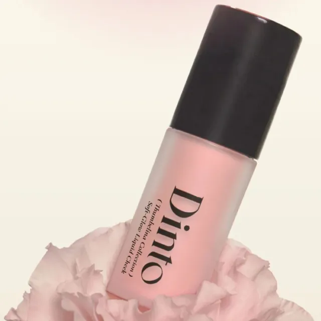 【Dinto】官方直營 晨露微光腮紅4.5g(多色任選)