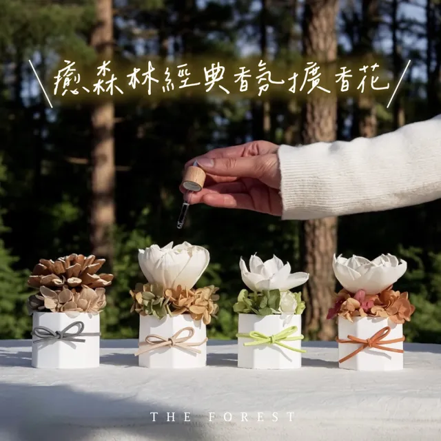 【The Forest 癒森林】癒森林經典香氛擴香花(居家香氛/香水精油/香氛擴香花/擴香禮物)