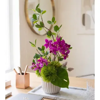 【HUGO DECO 榆果傢飾】雅緻桃紅蝴蝶蘭榕枝香氛花禮(擬真植物/人造盆栽/綠化/佈置/禮物)