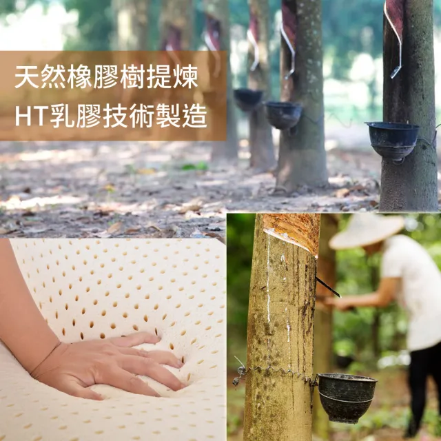 【LooCa】單人3尺 厚5cm HT純淨乳膠床墊-法國防蹣認證表布(三款任選)