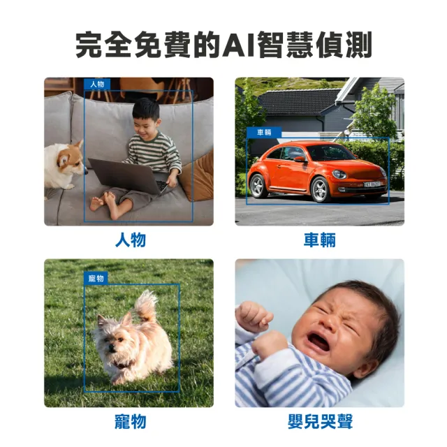 【TP-Link】Tapo C236 3K 500萬畫素 Wi-Fi可旋轉監視器 室內/室外 哭聲偵測 雙向語音 攝影機