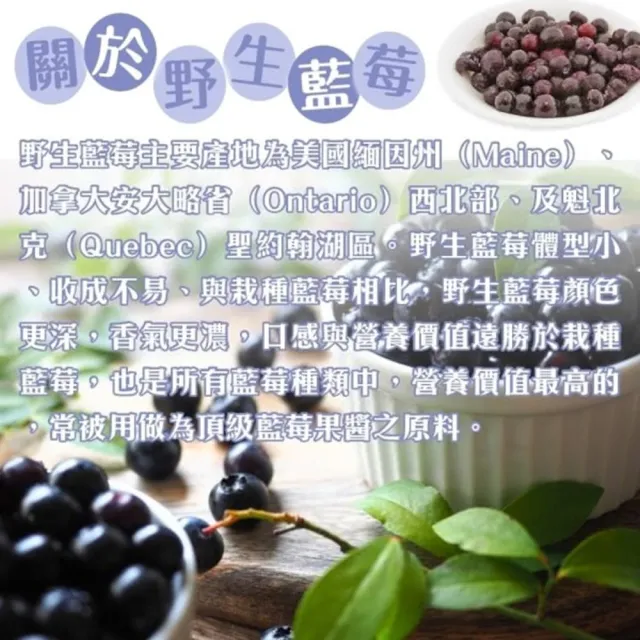 【WANG 蔬果】加拿大冷凍野生藍莓1kgx6包(1kg/包_家庭號)