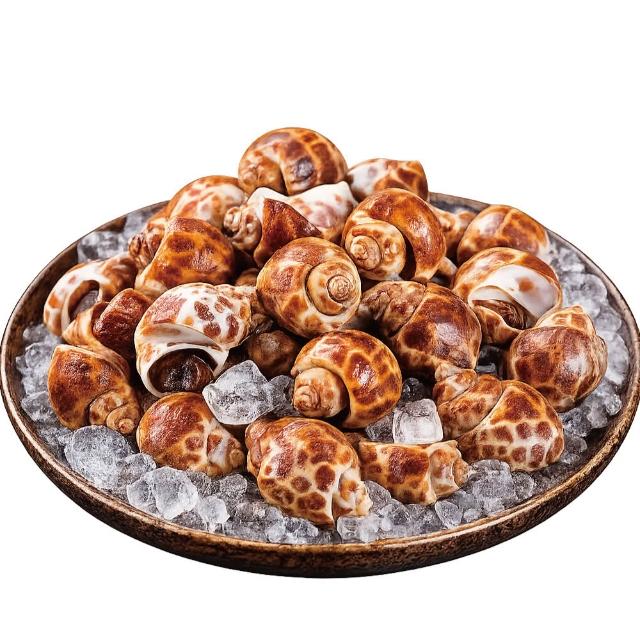 【小川漁屋】活凍鳳螺6包(500g±10%/包)