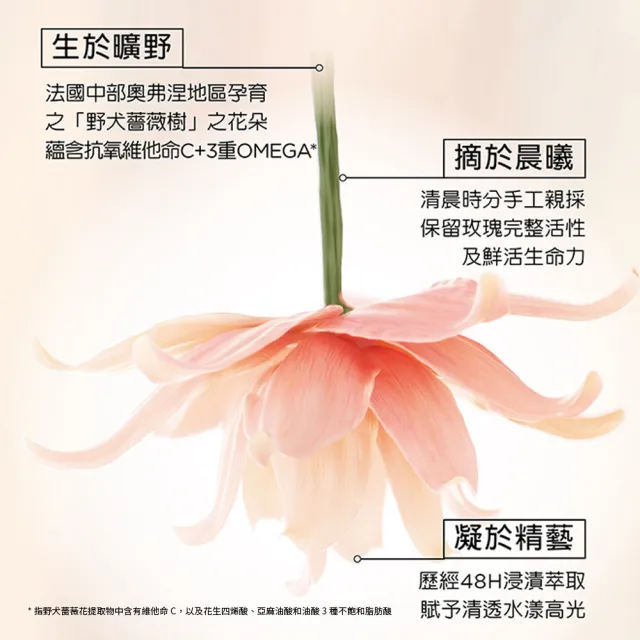 【KERASTASE 巴黎卡詩】釉光香頌聯名組 (小粉球/護髮精油) (momo X KINGJUN美妝聯名袋)