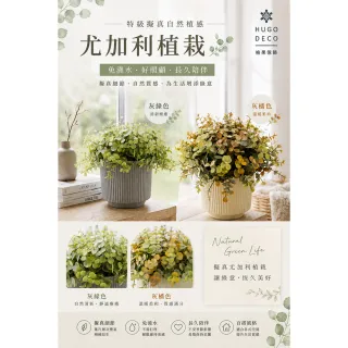 【HUGO DECO 榆果傢飾】特級擬真自然植感灰尤加利盆栽(擬真植物/禮物/綠化/教師節/佈置/觀葉植物)