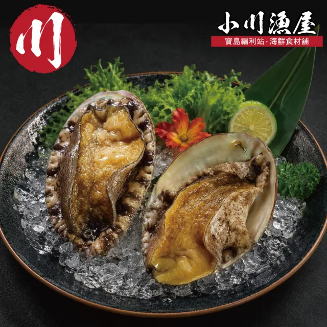 【小川漁屋】南非活凍帶殼鮑魚2包(500g±10%/包/約6-8粒)