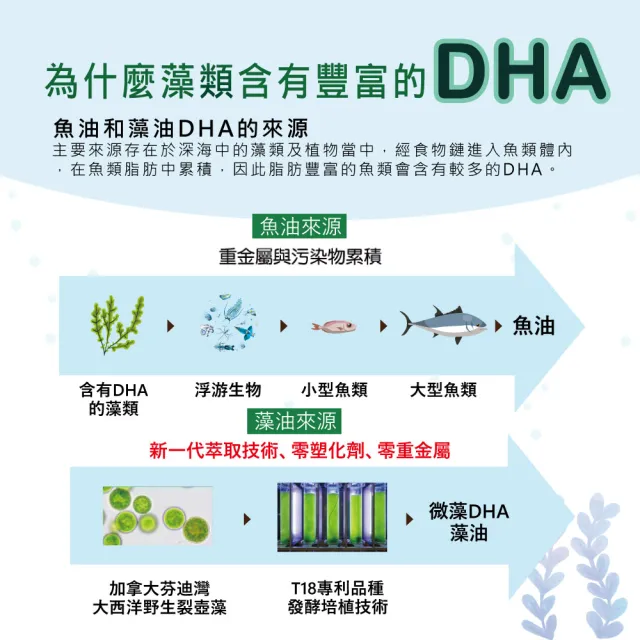 【愛善那】美國專利80% DHA藻油素食軟膠囊x6 共360粒(市售最高濃度DHA高達80% rTG型式好吸收)