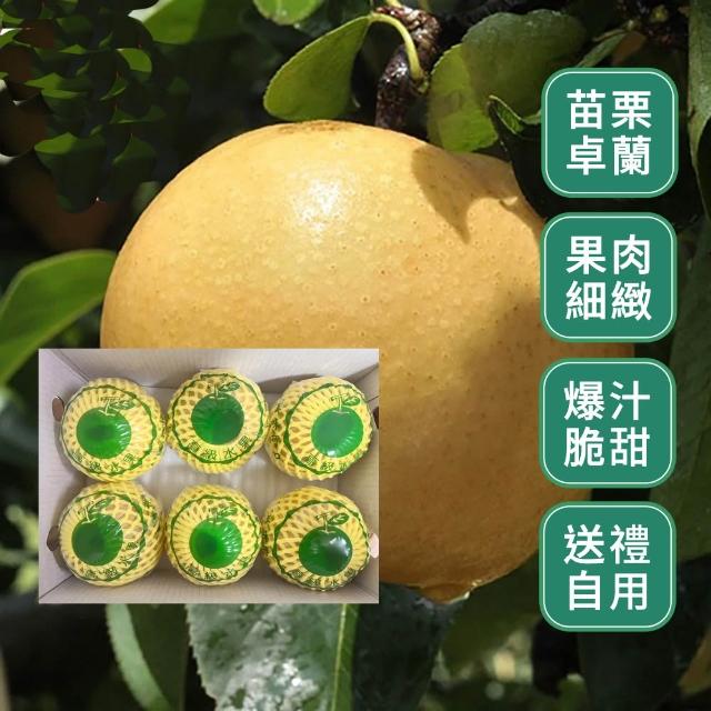 【水果達人】苗栗卓蘭爆汁高接梨禮盒6顆(400g-460±10%/顆)寄出日為（下訂日1-3個工作天）