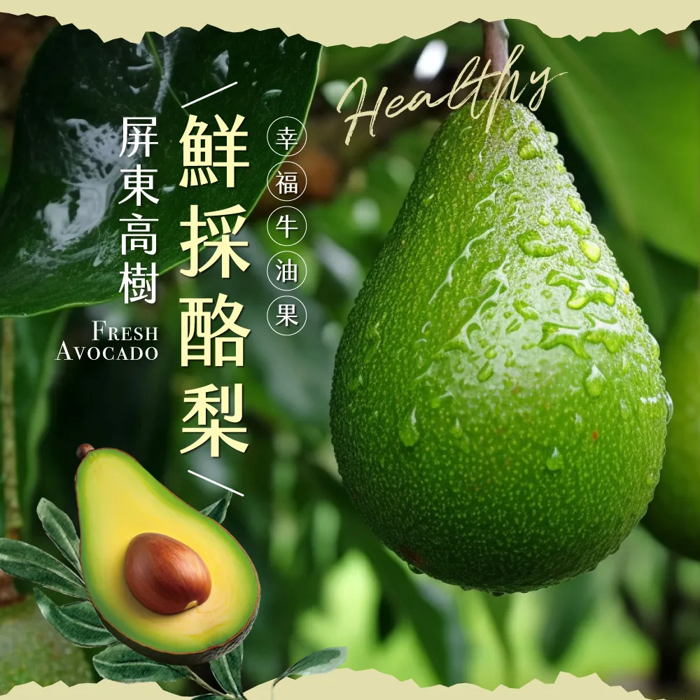 【初品果】屏東高樹鮮採酪梨含箱5斤4-7顆x1盒(幸福牛油果_草生栽培)