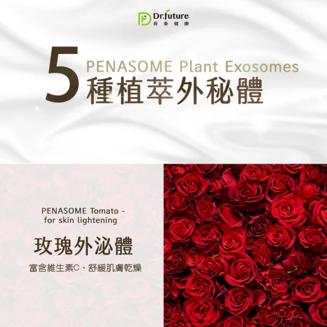 【Dr.future 長泰】金燦緊緻皂單入組(100g/顆)