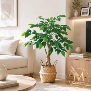 【Floral M】居家入門款幸福樹100cm仿真植栽(贈編織籃)(人造植栽/仿真樹/室內佈置/居家裝飾)