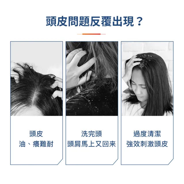 【海倫仙度絲】科研去屑洗髮精300g x3入(去油淨透/瞬效止癢)