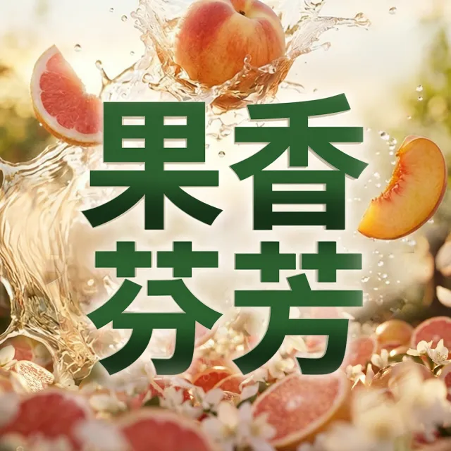 【Lysol 來舒】衣物消毒液-白桃 葡萄柚1Lx2(衣物消毒/內衣褲清潔/洗衣除臭/植源萃取/室內晾衣)
