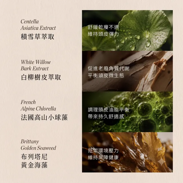 【LUDEYA】超豐盈PDRN蘊活頭皮精華120ml(炸毛小棕瓶)