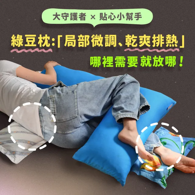 【Embrace 英柏絲】L型枕＋小枕 雙件組｜防水款 綠豆枕 老人看護翻身枕 擺位枕 側睡抱枕 台灣製