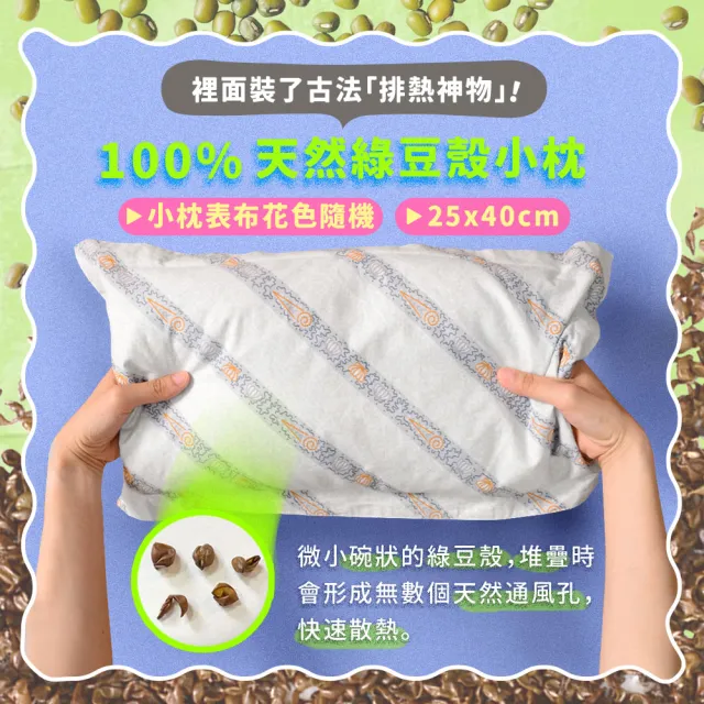 【Embrace 英柏絲】L型枕＋小枕 雙件組｜防水款 綠豆枕 老人看護翻身枕 擺位枕 側睡抱枕 台灣製