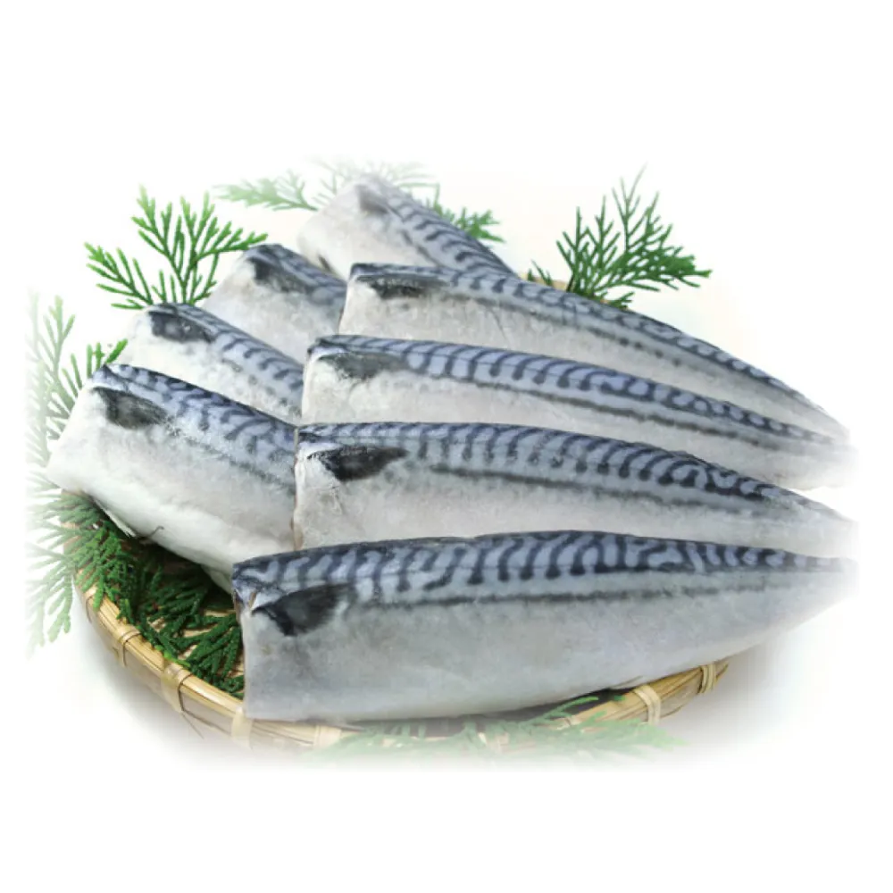 【小川漁屋】野生挪威薄鹽鯖魚6片(100g±10%/片純重無紙板)
