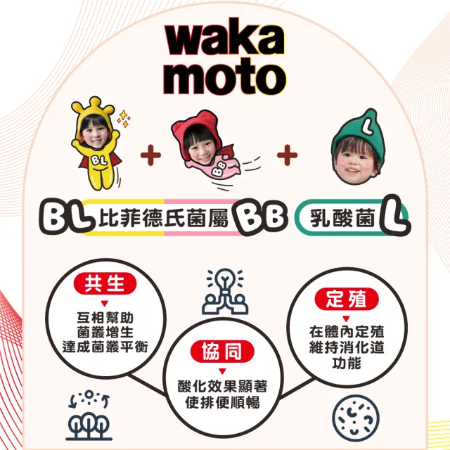 【Wakamoto 若元】若元益生菌 三瓶組(220錠/瓶_食品、獨家高活性WB菌、使排便順暢、日本原裝)