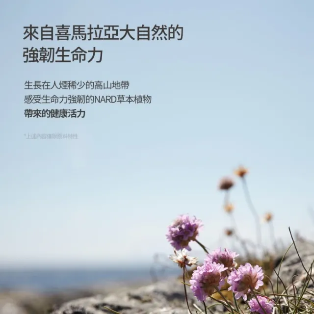 【NARD】草本修護沐浴露/洗髮精 500mlx3入(任選/薰衣草/茶樹/檸檬薄荷/經典款)