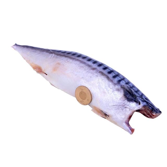 【優鮮配】5L(特大)挪威薄鹽鯖魚 250gX16片｜單片真空 /旗艦特厚切 /老饕囤貨量販組