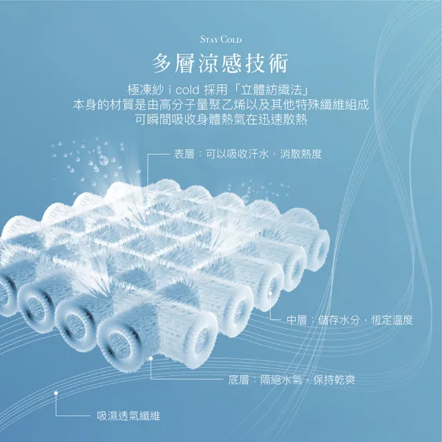 【ISHUR 伊舒爾】極凍涼感枕套2入 台灣製造(兩色任選/枕頭套)