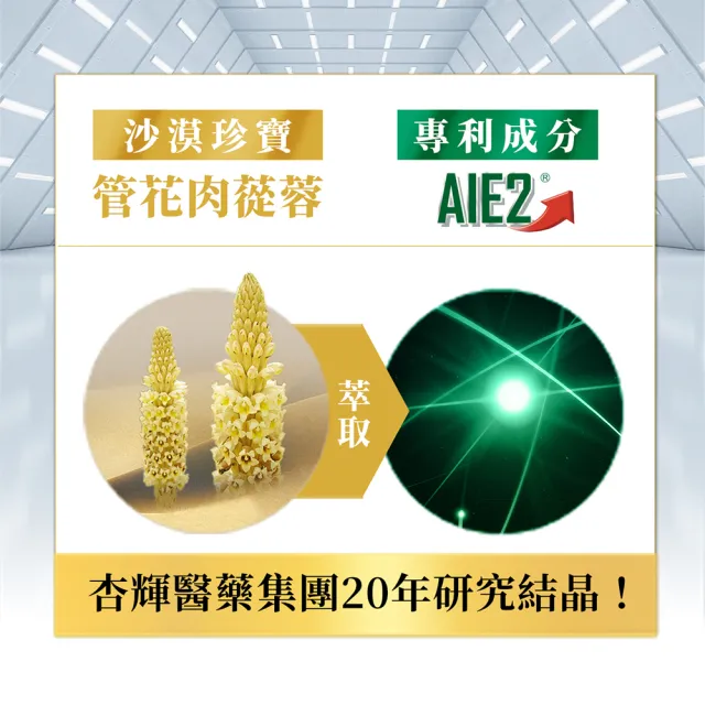 【杏輝醫藥】蓉憶記膠囊 國家健康食品  3入組(共90粒-唐從聖 專利成分AIE2 延緩衰老 思緒保養 銀髮保健)
