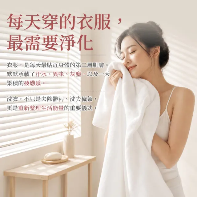 【雨揚】3入組-草本除穢艾香淨衣露(洗衣精/淨化驅穢/去除負能量/保平安/潔淨守護)